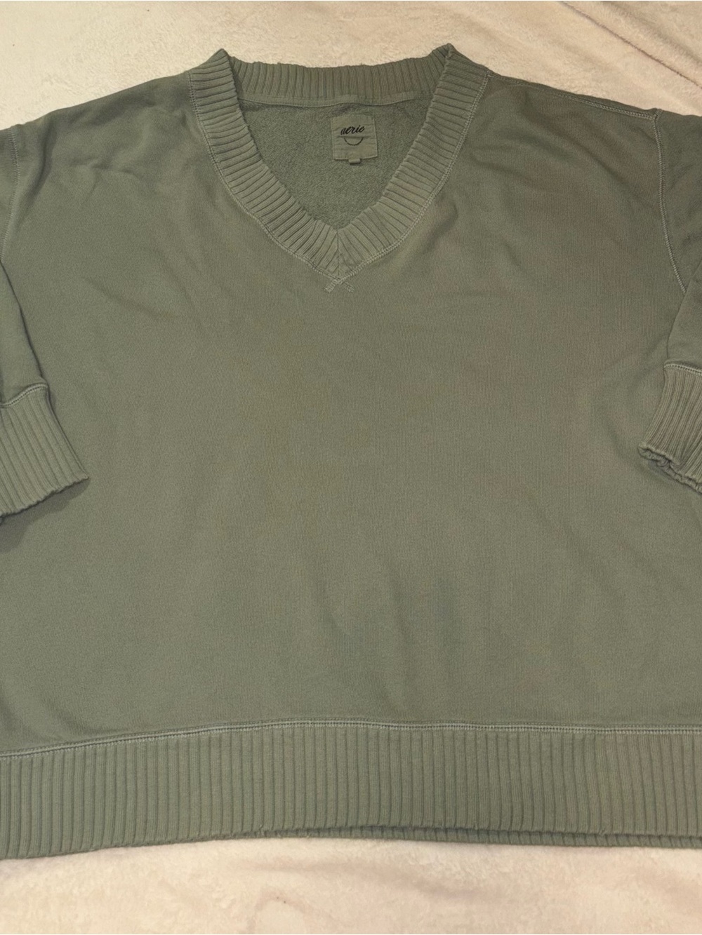 Aerie Sweatshirt